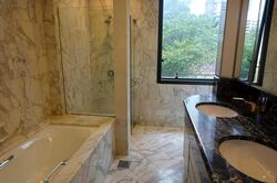Four Seasons Park (D10), Condominium #454609911